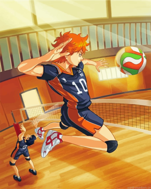 Haikyuu Painting By Numberss.png