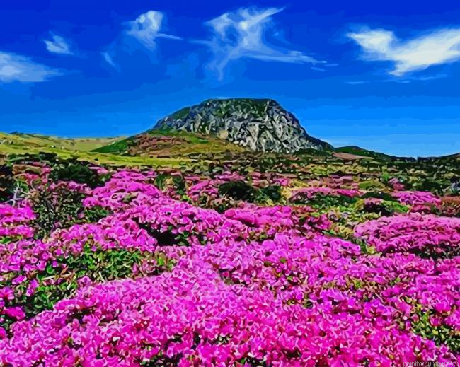 Halla Mountain South Korea Painting By Numberss.png
