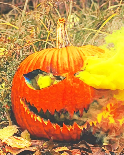 Halloween Big Pumpkin Painting By Numberss.png