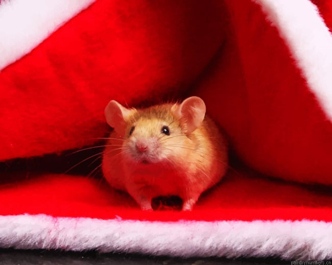 Hamster In Santa Claus Beanie Animals Painting By Numberss.png