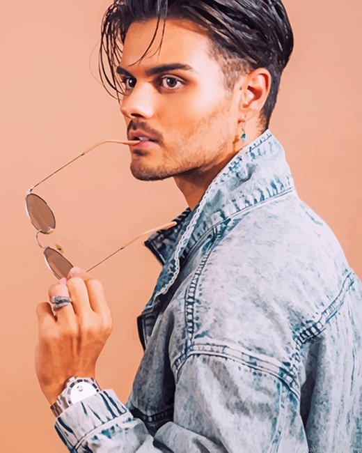 Handsome Abraham Mateo Singers Painting By Numbers.png