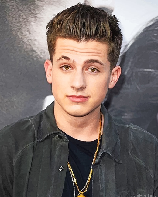 Handsome Charlie Puth Singers Painting By Numberss.png
