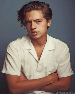 Handsome Cole Sprouse Painting By Numbers.png
