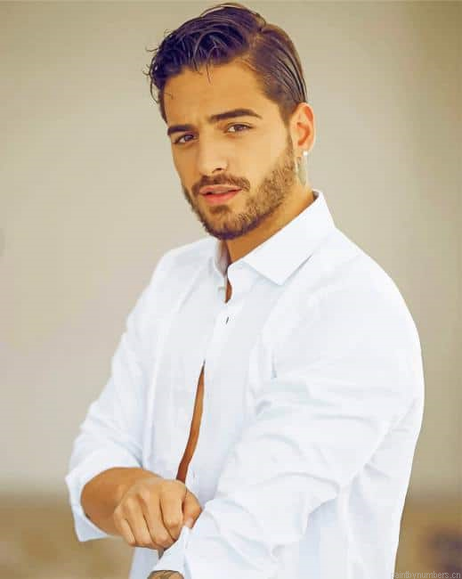 Handsome Colombian Singer Maluma Painting By Numbers.png