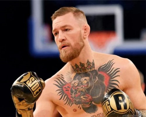 Handsome Conor Mcgregor Painting By Numbers.png