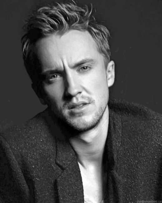Handsome Draco Malfoy Painting By Numberss.png
