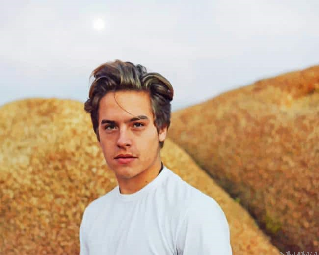 Handsome Dylan Sprouse Actors Painting By Numbers.png