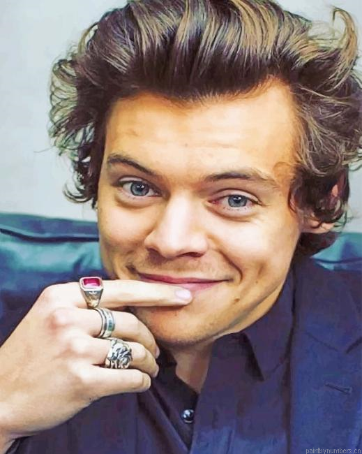 Handsome Harry Edward Styles Singers Painting By Numberss.png