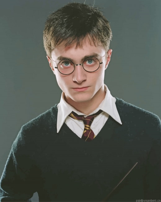 Handsome Harry Potter Movies Painting By Numbers.png