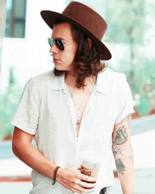 Handsome Harry Singers Painting By Numberss.png