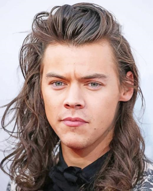 Handsome Harry Styles Singers Painting By Numberss.png