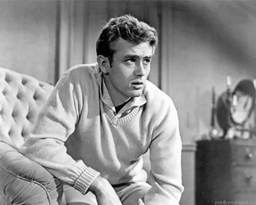 Handsome James Dean Painting By Numbers.png