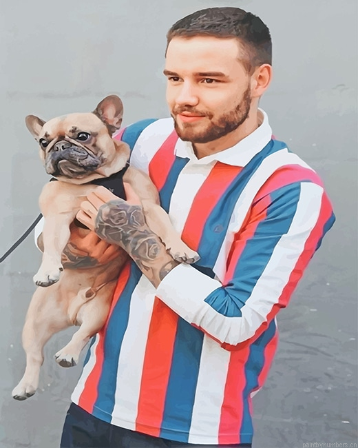 Handsome Liam Payne Singers Painting By Numbers.png