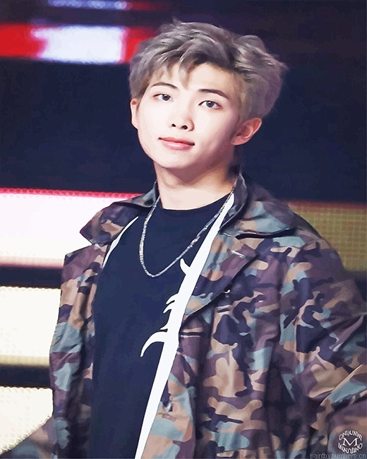 Handsome Rm Rappers Painting By Numbers.png