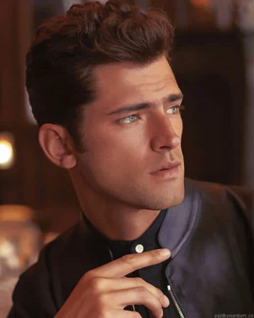 Handsome Sean O Pry Painting By Numberss.png