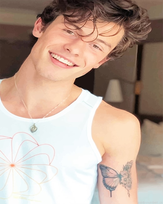 Handsome Shawn Mendes Singers Painting By Numbers.png