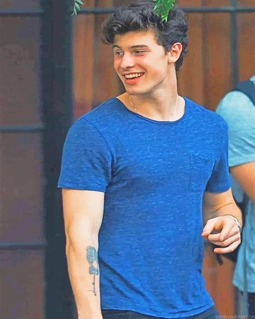Handsome Shawn Mendes Smiling Singers Painting By Numberss.png