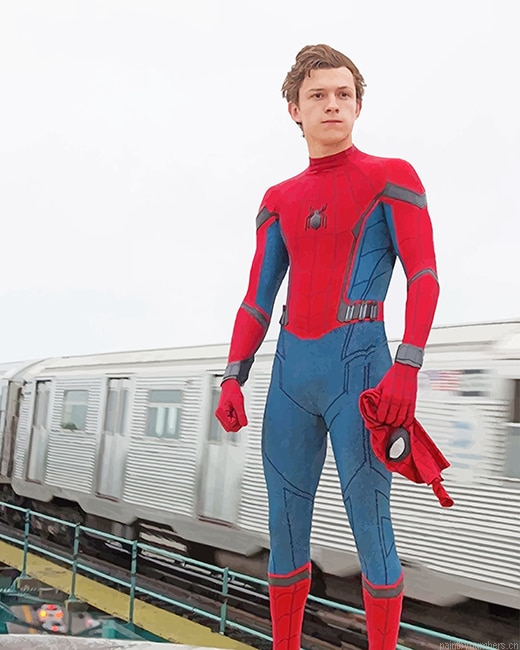 Handsome Spider Man Movies Painting By Numberss.png