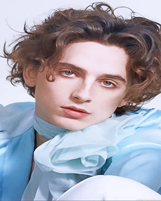 Handsome Timothee Actors Painting By Numberss.png