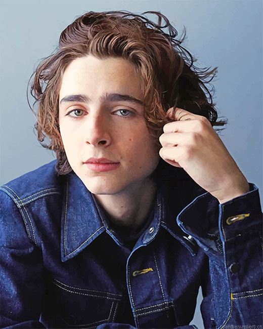 Handsome Timothee Chalamet Actors Painting By Numberss.png