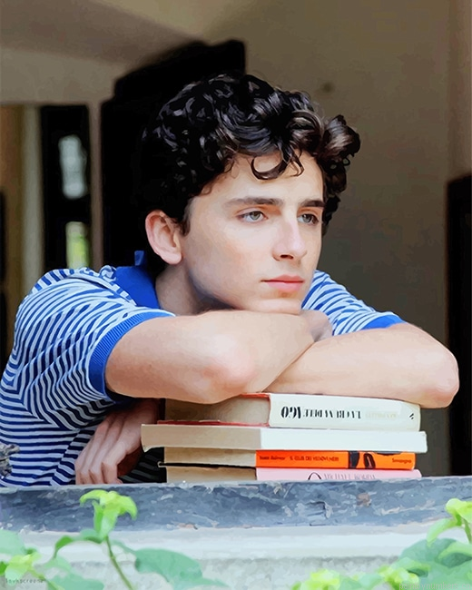 Handsome Timothee Chalamet Actors Painting By Numberss.png