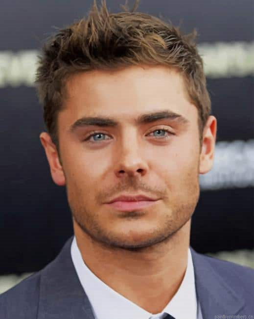 Handsome Zac Efron Actors Painting By Numberss.png