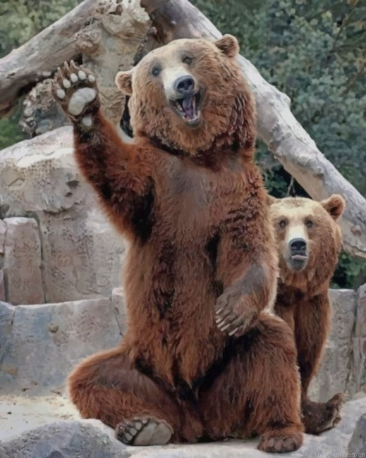 Happy Bears Animals Painting By Numberss.png