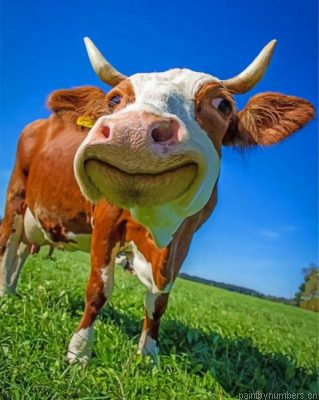 Happy Cow Painting By Numbers.png