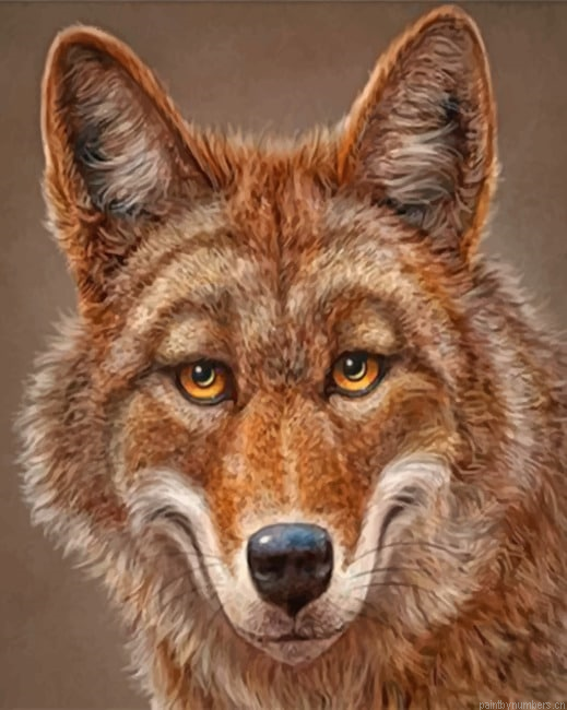 Happy Coyote Painting By Numberss.png