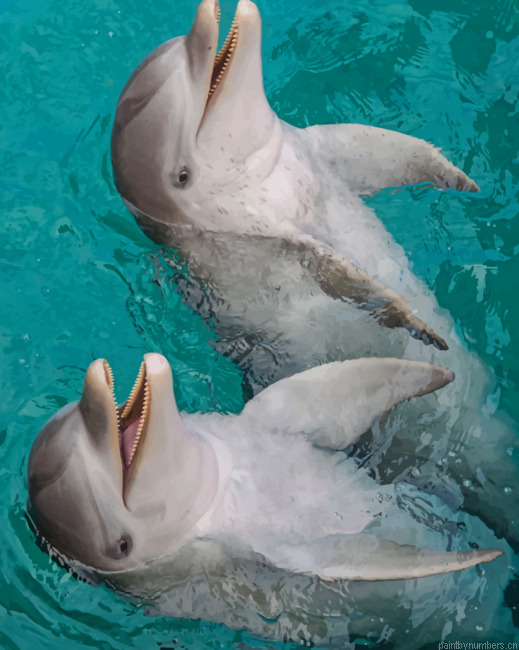 Happy Dolphins Animals Painting By Numberss.png