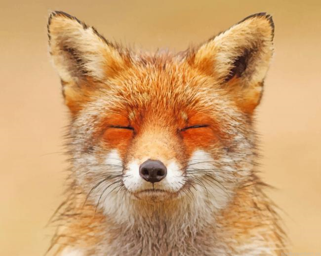 Happy Fox Animals Painting By Numberss.png
