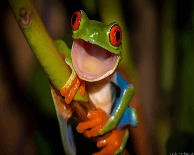 Happy Green Frog Painting By Numberss.png