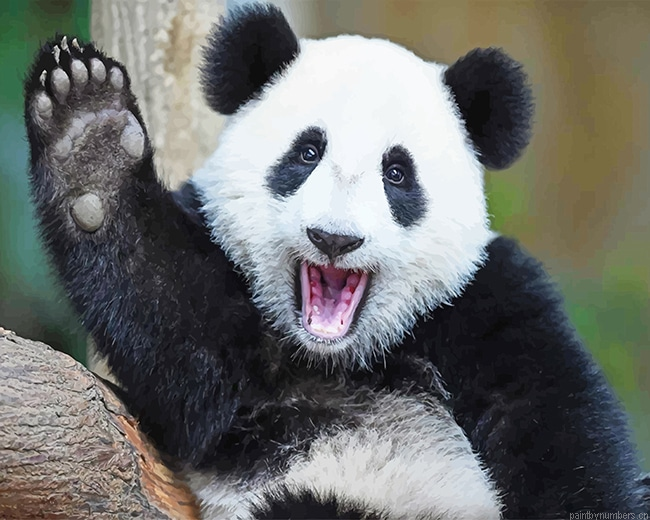 Happy Panda Animals Painting By Numberss.png