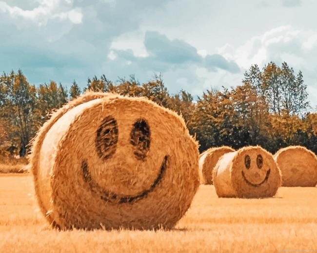 Happy Straw Bales Painting By Numberss.png