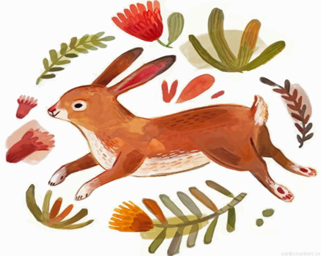 Hare Illustration Painting By Numberss.png