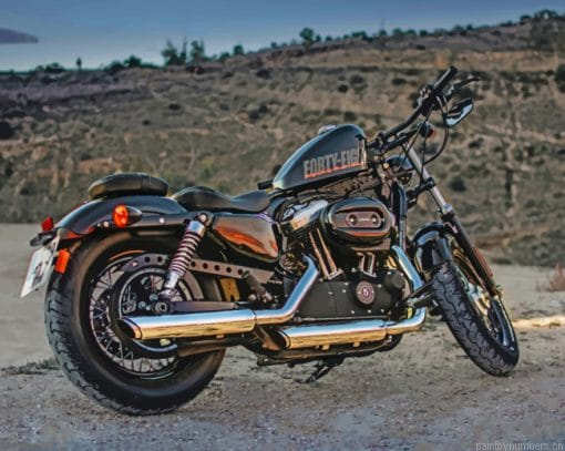 Harley Davidson Forty Eight Painting By Numberss.png