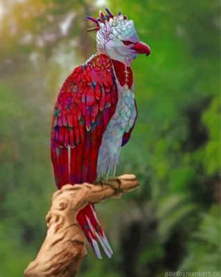 Harpy Eagle Painting By Numbers.png