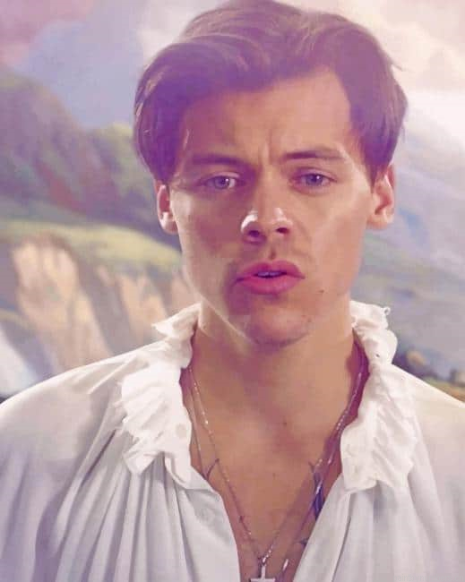 Harry Edward Styles Two Ghosts Painting By Numberss.png