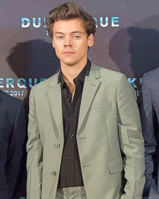 Harry Edward Styles Wearing Suit Singers Painting By Numberss.png