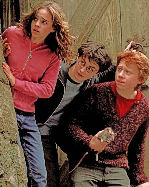 Harry Hermione And Ron Movies Painting By Numberss.png