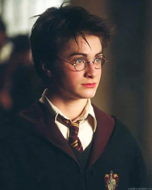 Harry James Potter Actors Painting By Numberss.png
