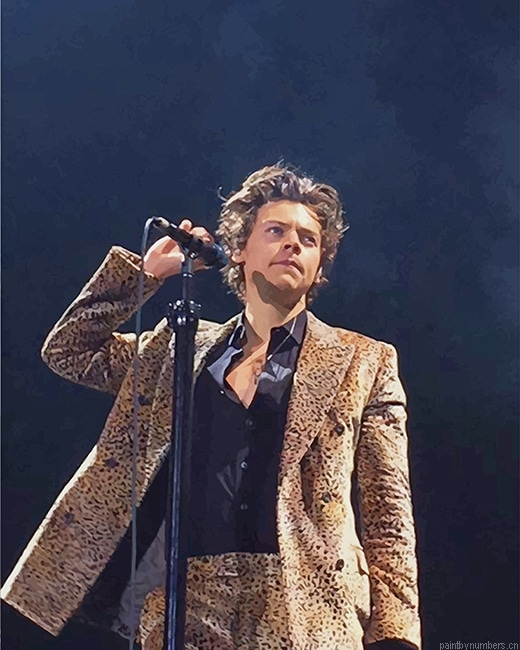 Harry On Stage Singers Painting By Numbers.png