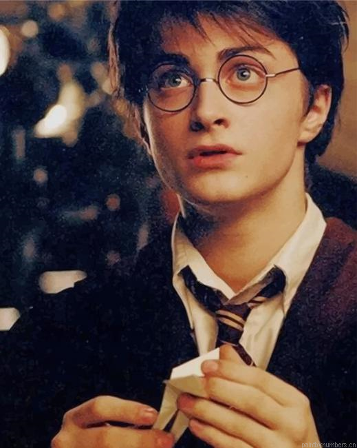 Harry Potter Actors Painting By Numberss.png
