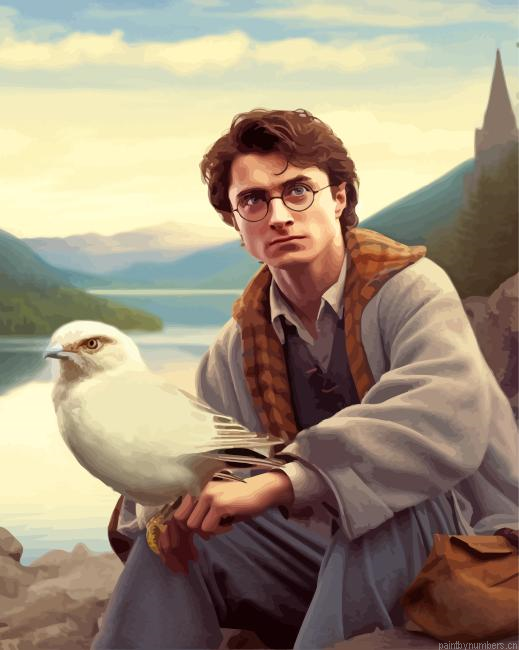 Harry Potter And Bird Painting By Numberss.png