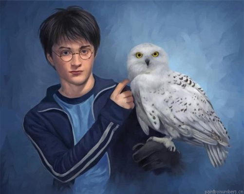 Harry Potter And Companion Hedwig Painting By Numbers.png