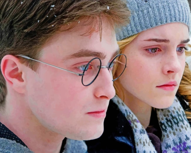 Harry Potter And Emma Watson Movies Painting By Numbers.png