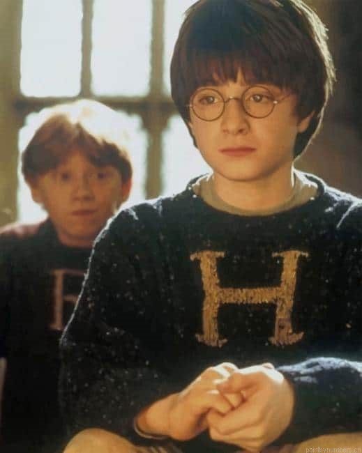 Harry Potter And Ron New Painting By Numberss.png
