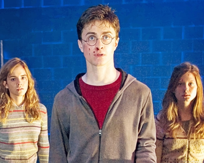 Harry Potter And The Order Movies Painting By Numbers.png