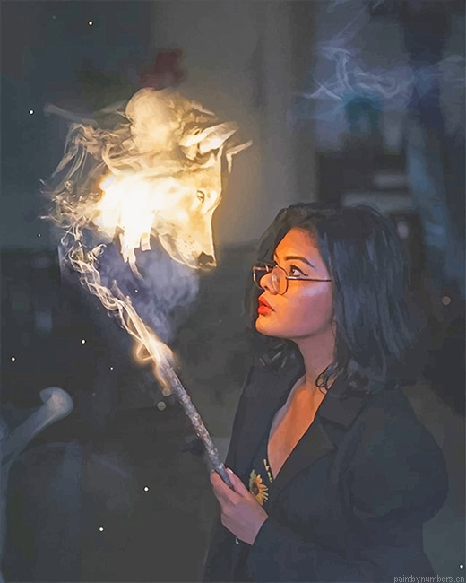 Harry Potter Cosplay Painting By Numberss.png
