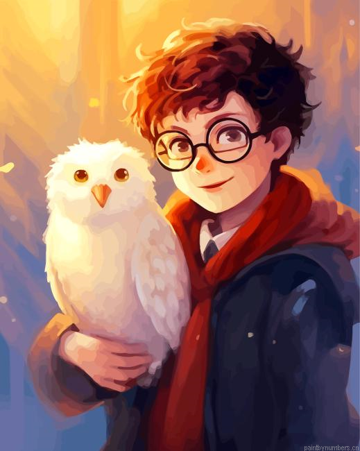 Harry Potter Hedwig Painting By Numberss.png